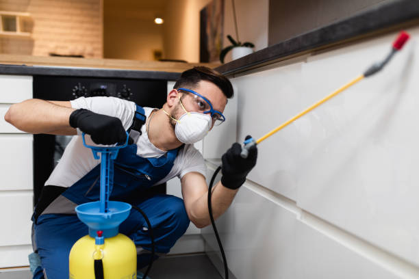 Best Residential Pest Control  in Baldwinville, MA