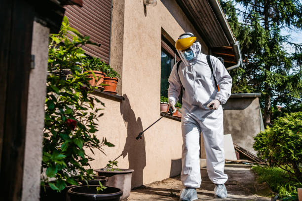 Best Rodent Control Near Me  in Baldwinville, MA