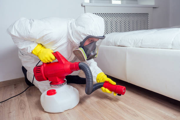 Insect Control in Baldwinville, MA