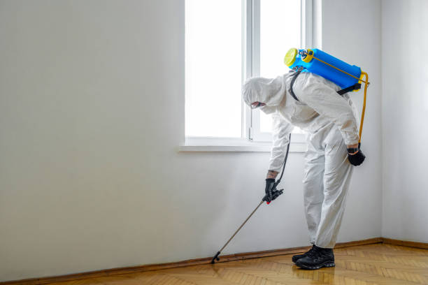 Best Pest Prevention Services  in Baldwinville, MA