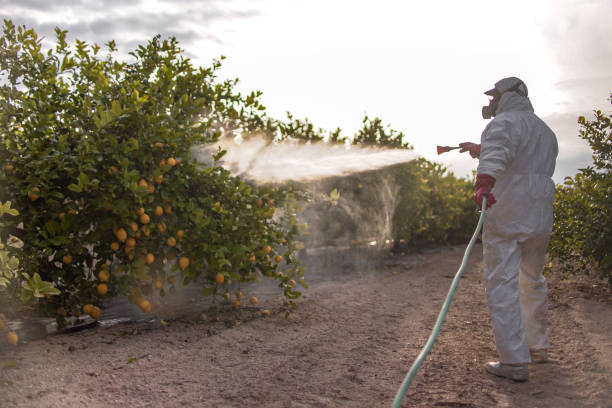 Best Mosquito Control Services  in Baldwinville, MA