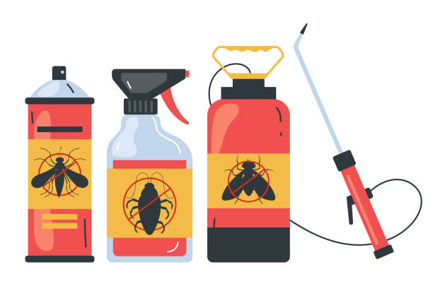 Best Insect Control  in Baldwinville, MA