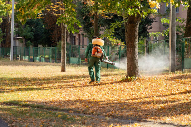 Best Wildlife Control Services  in Baldwinville, MA