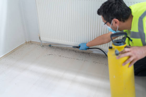 Best Affordable Pest Control Services  in Baldwinville, MA
